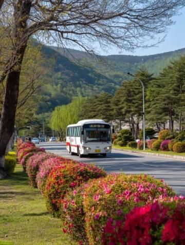 2025年五一假期旅游推荐结合了热门与小众目的地、深度体验与自然探索