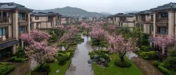千岛湖明豪国际度假酒店——清明假期亲子旅游全攻略