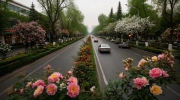 山东公路旅行路线 山东省春季公路旅行推荐路线