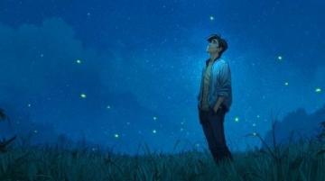 我想起了那天晚上的星空