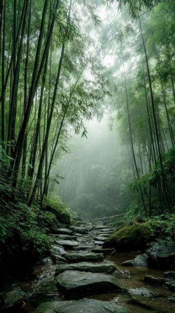 数字赋能与文旅融合广德笄山竹海风景区的发展路径探索