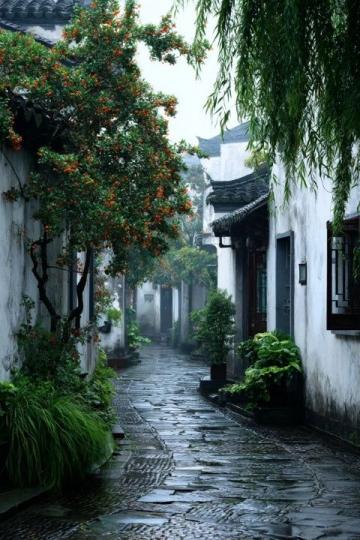 嘉善必游景点盘点:江南水乡秘境与美食之旅