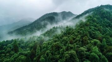 清迈最佳旅游时节全攻略：避开雨季与烧山，尽享泰北风情