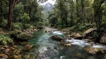 西双版纳旅游攻略：探索热带雨林与傣族文化完美结合