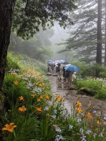 根据多个旅行攻略和游客真实体验，以下是千岛湖旅游的避雷建议，涵盖景点选择、交通、