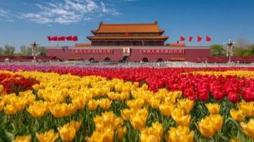畅游北京环球，记录奇幻之旅——魔乐盛宴记