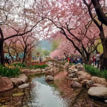 特种兵兴义旅游,住这逛花鸟市场超绝