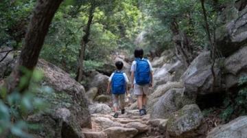 大夫山森林公园亲子游全攻略:家庭休闲娱乐的好去处