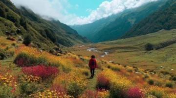 武功山旅游攻略:四季美景与云端草甸探秘之旅