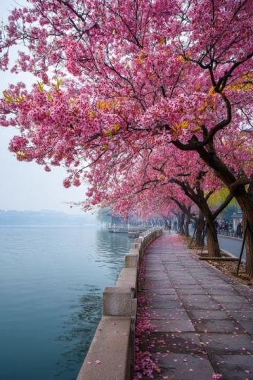 杭州春季旅行秘境:避开人群的里西湖精华路线指南