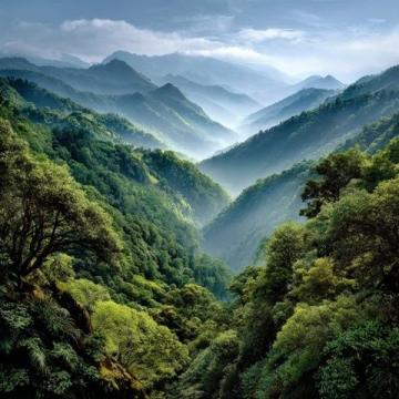 2025年3月峨眉山旅游攻略：实用建议与天气指南