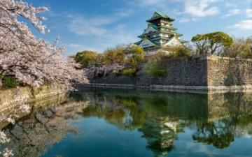 你最喜欢的十大旅游景点有哪些(你最喜欢的国内旅游景点)