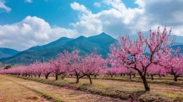 五一小长假加上春假,这么美好的天气当然要去旅游啦……绍兴是一座有着2500多年建