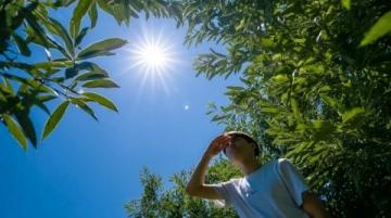 五一假期情绪复苏之旅:静享自然与文化的宁静时光