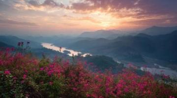 贵州毕节百里杜鹃花海：赏花游玩攻略与交通指南