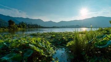 杭州春季旅行秘境:避开人群的里西湖精华路线指南