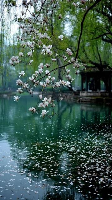 杭州三天两晚跟团游攻略：西湖、灵隐寺、宋城全体验
