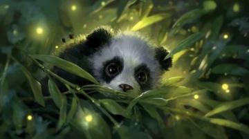 长春动植物园夜间游览体验:六一家族游记