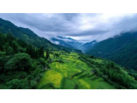 温州必游景点推荐：雁荡山、楠溪江、江心屿等热门打卡地