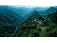 世外桃源探险记：探寻隐秘桃花源生态旅游区的自然之美