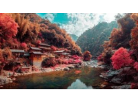 探索贵州：一场多彩文化的奇妙旅程