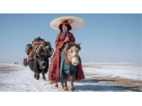 新疆旅游攻略：避开陷阱与误区，享受完美行程