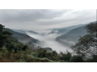 陵水7条研学路线：自然生态与文化探索之旅（上）