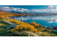 最佳时机：5月底是阿勒泰由春转入夏季的过渡期，白天温度在15-25℃之间，夜间可能降至5-10℃，是一个非常宜人的气候。
