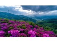 贵州之旅:揭开多彩贵州的美丽面貌