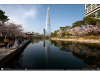 中级经济师旅游知识点复习与备考指南