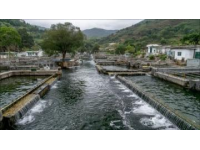 桐庐旅游景点大集合
