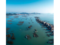 珠海外伶仃岛旅游攻略全解析：粉丝破50万分享必去景点美食！