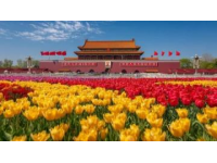 畅游北京环球，记录奇幻之旅——魔乐盛宴记