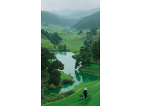 探索云南：团队旅行与自助游的选择——旅行攻略