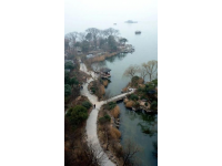 武汉旅游为何让人“跑断腿”：揭秘城市广袤美景背后的秘密
