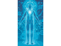 揭秘时间旅行：科幻与现实交汇的神秘探索