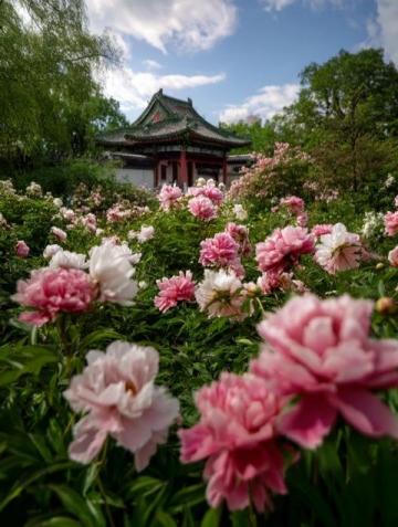 暑期北京旅游盛况空前:烈日风雨阻挡不了游客的热情