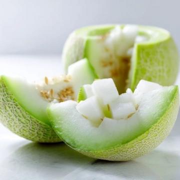 日本网文瓜种植中垫瓜的作用技术知识点总结