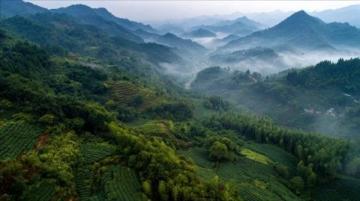 广西柳州旅游攻略：自然奇观与民族风情探秘