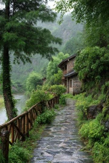 以下是一篇青城山旅游攻略，结合自然风光、文化特色和实用信息，供您参考
