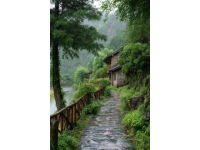 以下是一篇青城山旅游攻略，结合自然风光、文化特色和实用信息，供您参考