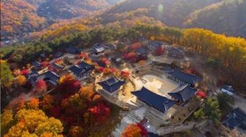千年古刹与都市风尚交融:大慈寺旅行攻略