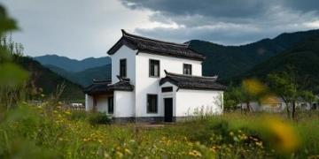 中山横栏镇：中国花木之乡田园之旅攻略全解析