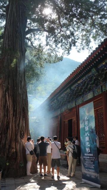 云南五日游攻略:昆明大理丽江经典路线游玩指南
