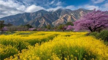 春天出游正当时，美景如画等你发现