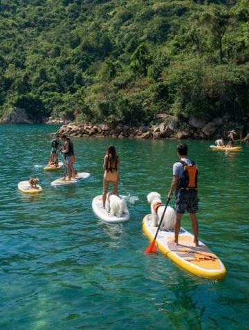 2025夏日避暑之旅:四家人共赴越西县清源栖舍休闲探险