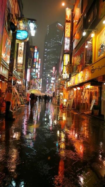 大阪五天自由行体验：道顿崛、四天王寺与购物街深度游记