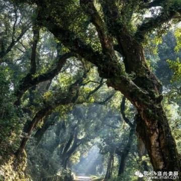 湖北十堰市14大旅游景点推荐：自然与文化的完美融合