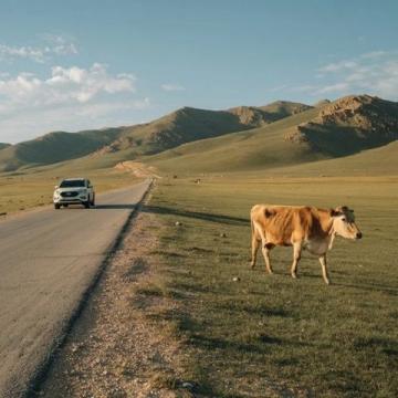 探索呼伦贝尔:一份详尽的自驾旅行指南