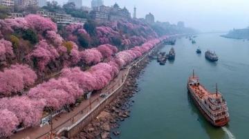 闲暇时用武汉旅游年卡免费体验长江游轮之旅